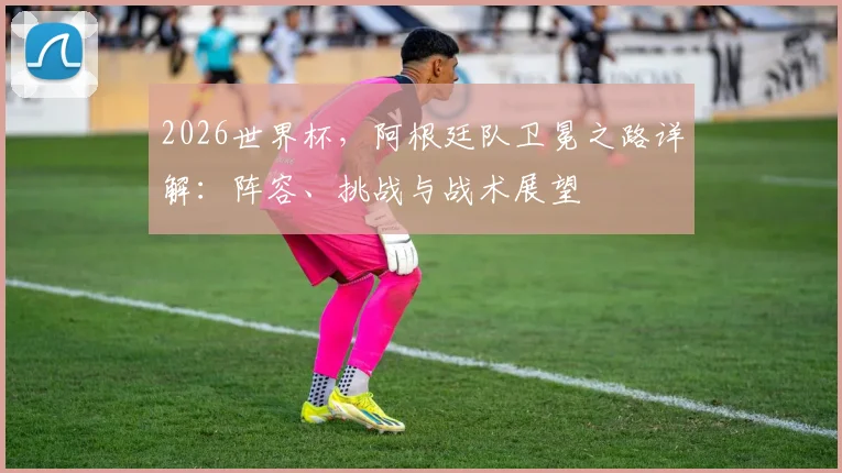 2026世界杯,阿根廷队卫冕之路详解:阵容、挑战与战术展望